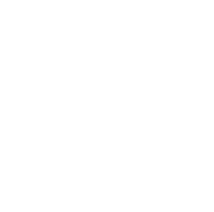 ícone de link